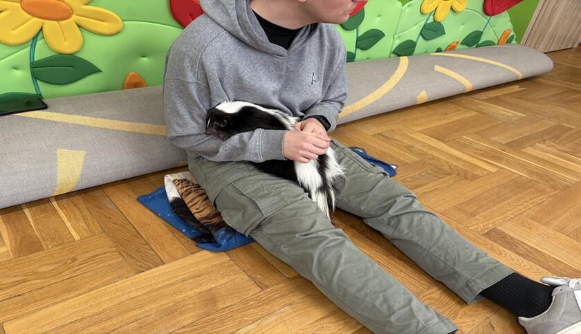 Zajęcia o skunksie